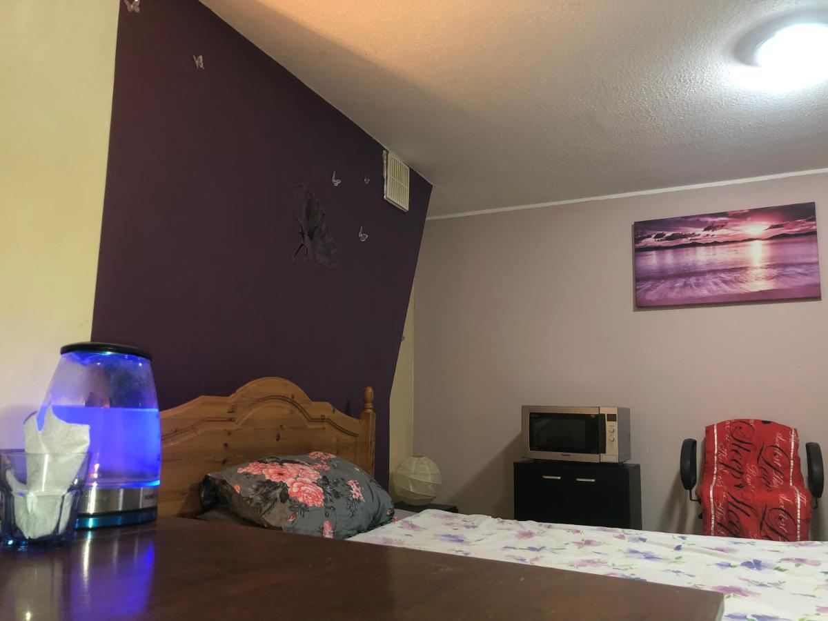Apartamento Single Large Room Hastings Extérieur photo
