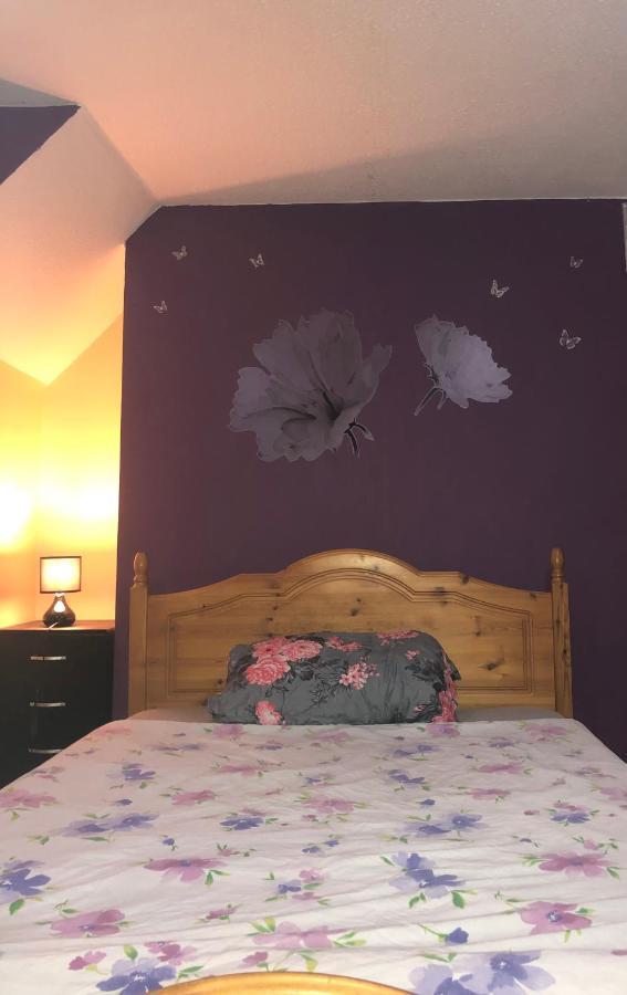 Apartamento Single Large Room Hastings Extérieur photo